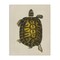 Stupell Industries Vintage Maritime Tortoise Canvas Design by Phillipa Katz
